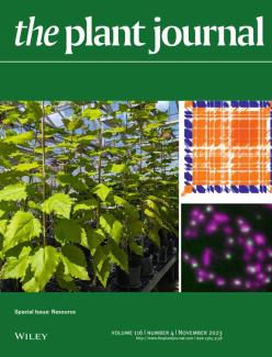 "cover of the plant journal, Nov. 23"