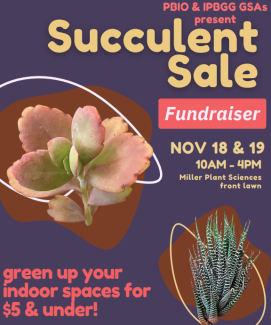 sale flyer