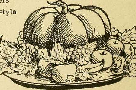 A drawing from an old book of a pumpkin surrounded by varies fruit and vegetables
