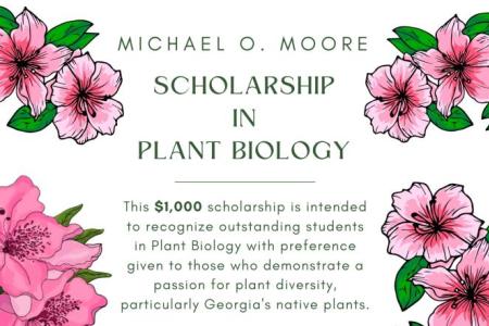 The flyer for the scholarship