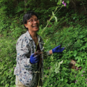 shumei chang